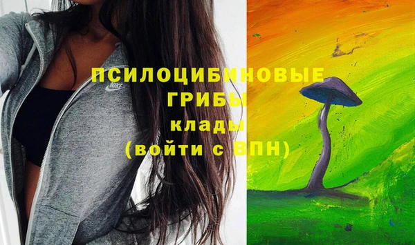 ГАЛЛЮЦИНОГЕННЫЕ ГРИБЫ Алексин