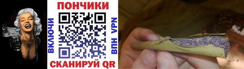 Канабис гибрид  Обнинск 